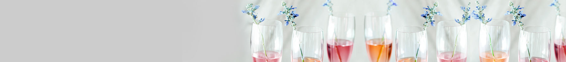 Banner_Tableware_Drinkware_Champagne-Glasses_248