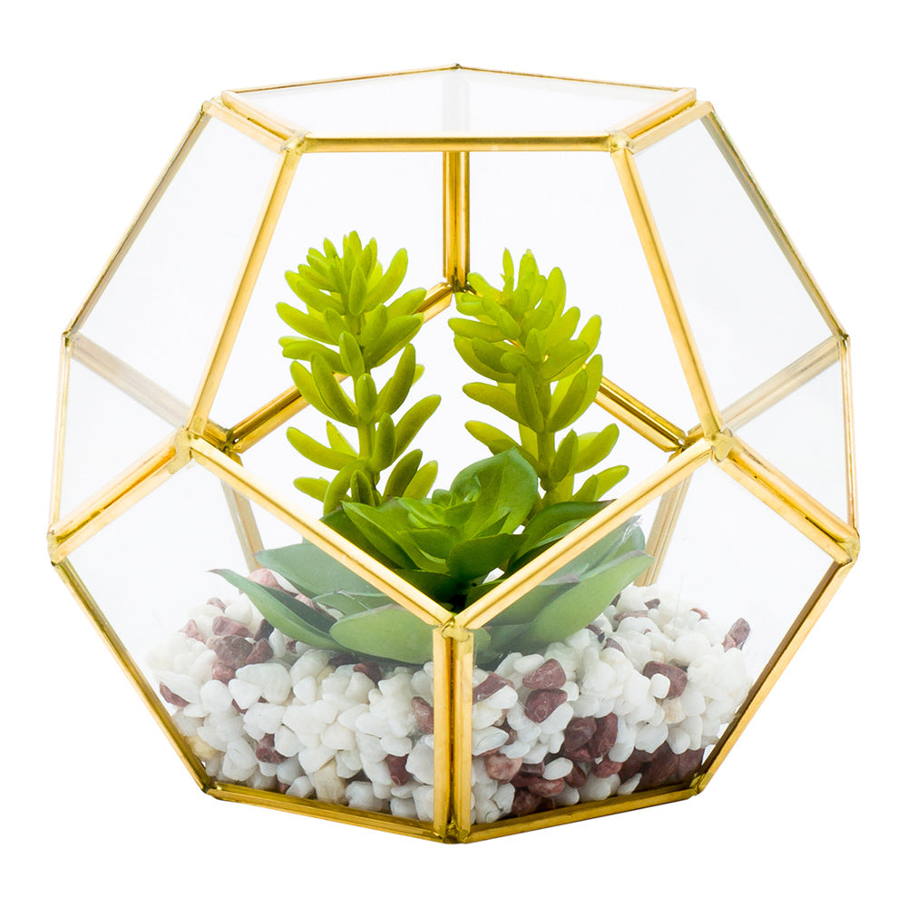 succulent geometric terrarium Restaurantware-6.7 x 6.3 x 6.3 Inch Faux Succulent, 1 Artificial Succulent