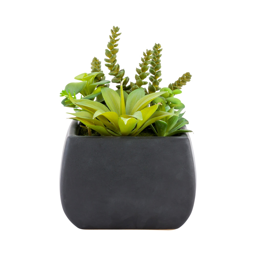 faux succulents in black pots Restaurantware-6 x 8.5 Inch Faux Succulent Arrangement, 1 Realistic Artificial Succulent