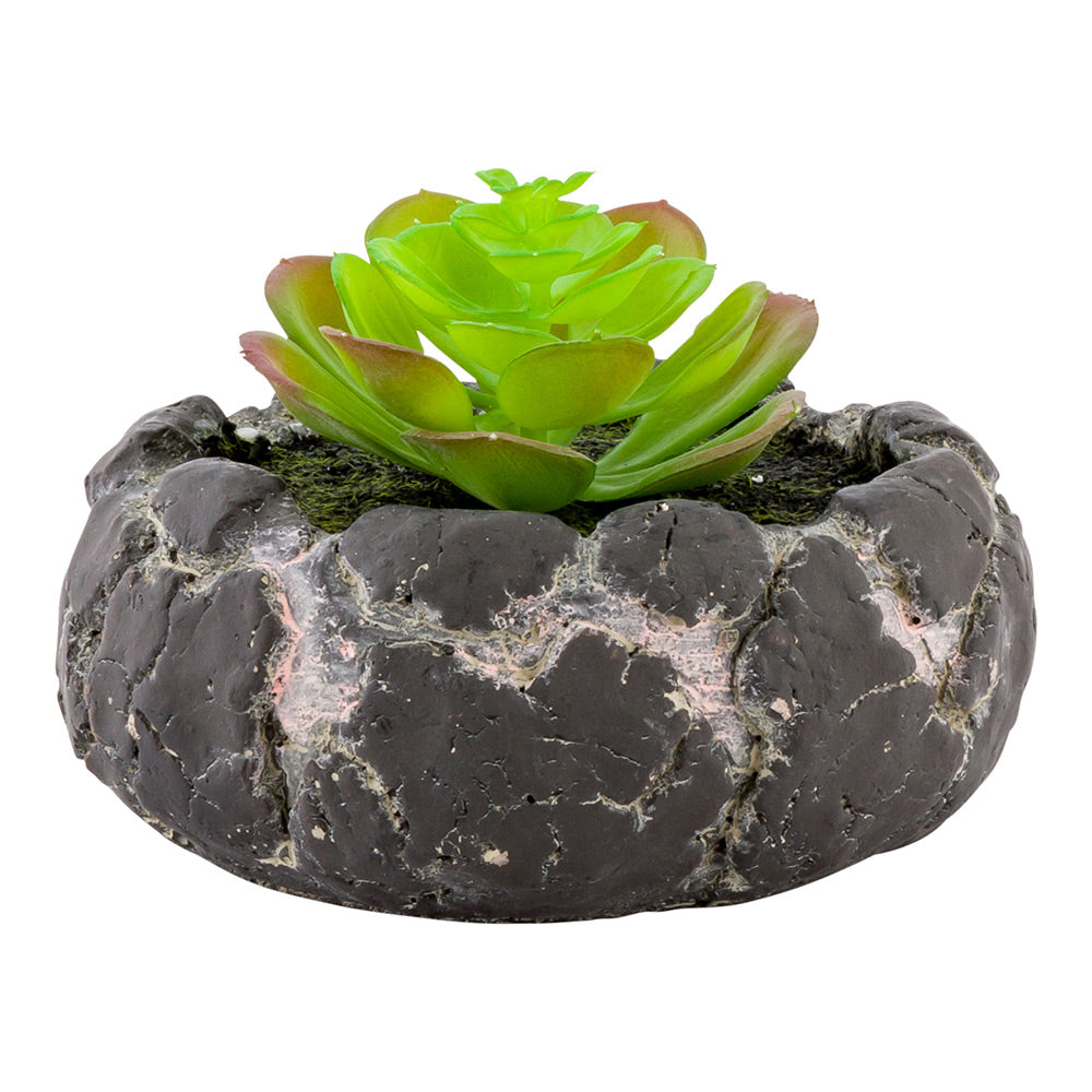 cement succulent pots Restaurantware-6 x 4.5 Inch Faux Succulent, 1 Artificial Succulent