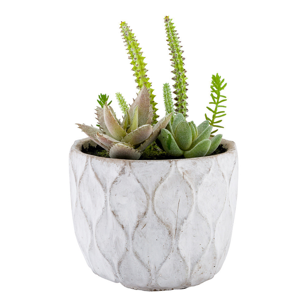 rare succulent live plants Restaurantware-5.9 x 7.9 Inch Faux Succulent Arrangement, 1 Artificial Succulent