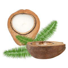 Coco Casa Handmade Coconut Shell Husk Candle - Sandalwood - 6 1/2