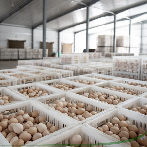 Sourcing Local: Benefits and Challenges for Foodservice