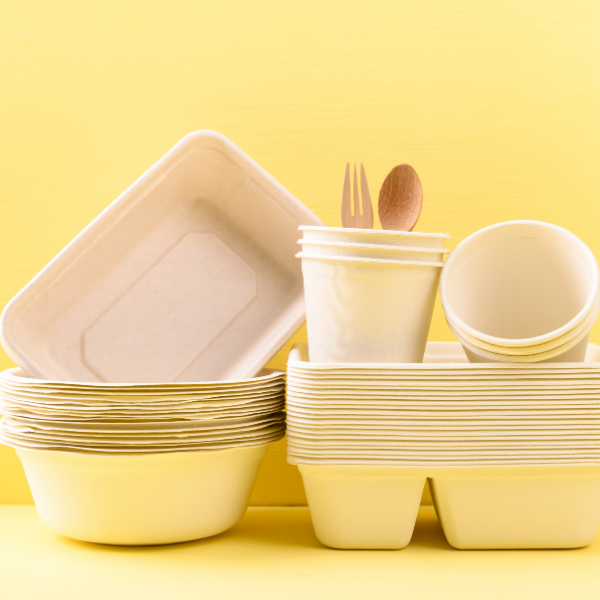 Blog-Main-biodegradable-vs-compostable-whats-the-difference