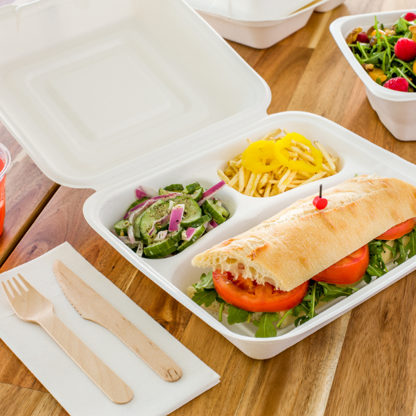 Blog-Main-multi-compartment-container-reviews