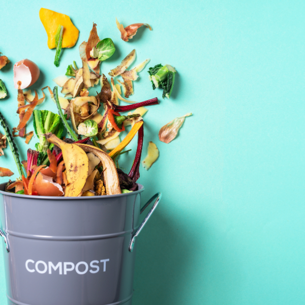 Home Composting Guide For Beginners