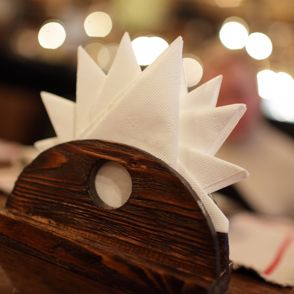 tissues in a holder