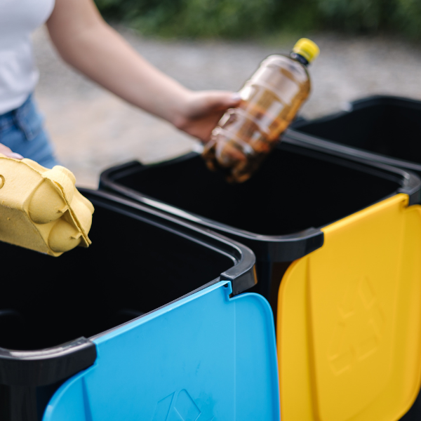 disposing egg carton and bottle in separate dustbins
