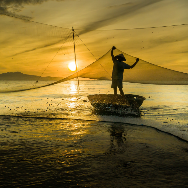 fisherman fishing