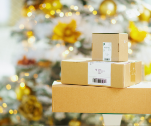 Elevating Holiday Catering with Customized Packaging Designs