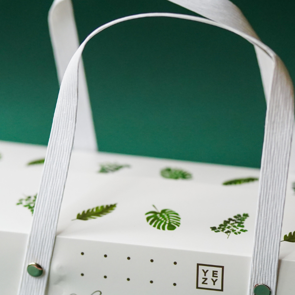 packaging box with straps and green leaf design