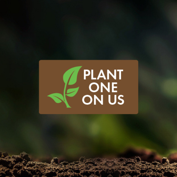 Your Orders Plant Trees | Every Order = 1 Tree Planted