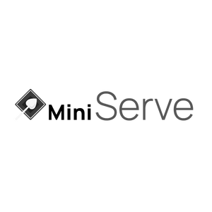 Mini Serve