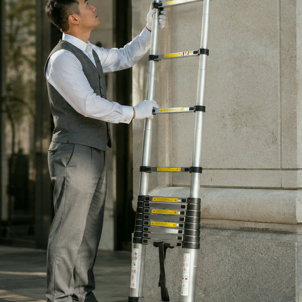 Extension Ladders