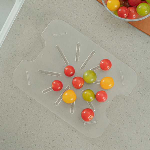 Food Pan Drain Trays