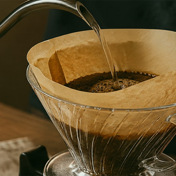 Disposable Coffee Filters