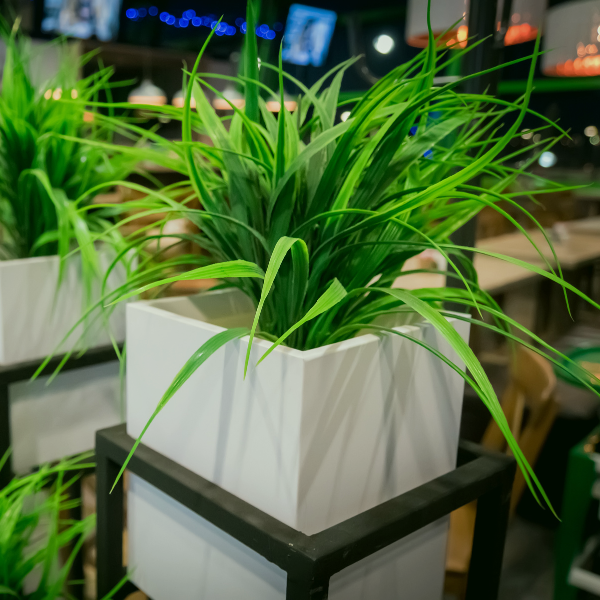 Artificial Plants