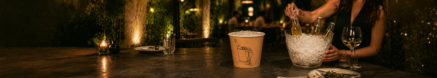 Wine Buckets and Wine Coolers