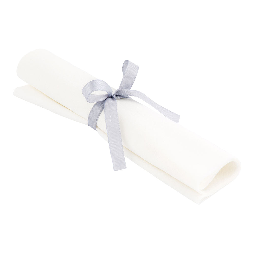 100 Round White 10 1/2" Plastic Silver-Rimmed Plates and 100 Moderna ...