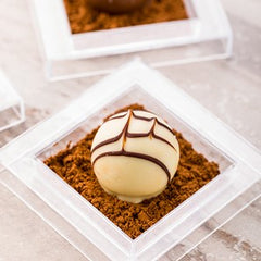 Mini Serve 100 Square Clear 2.5