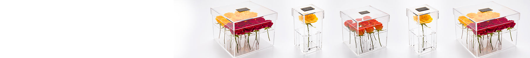 Banner_Smallwares_Decorative_Acrylic-Flower-Boxes_310