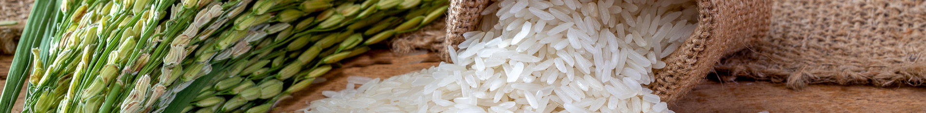 Blog-Banner-a-guide-to-rice-types-around-the-world
