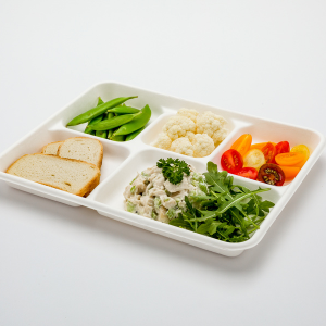 bagasse compartment tray with lunch