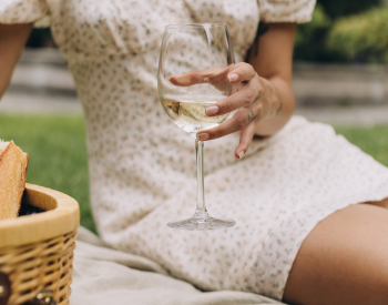 Women enjoying wine at a picnic