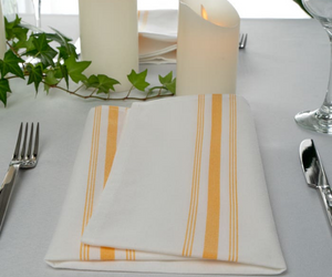 striped cloth napkin