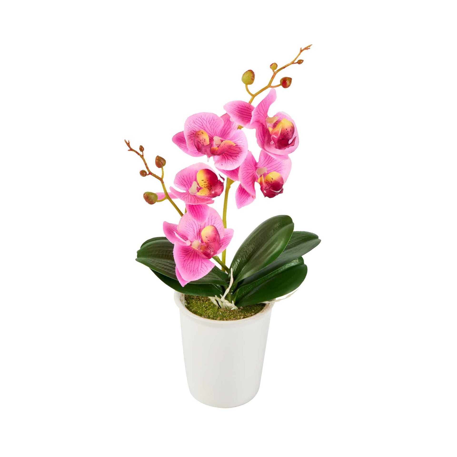 Fiore Purple Plastic Orchid in Porcelain Pot - 5 Blooms - 4" x 4" x 14" - 1 count box