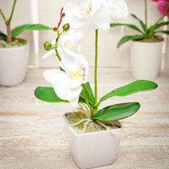 Fiore White Plastic Orchid in Plastic Pot - 5 Blooms - 4