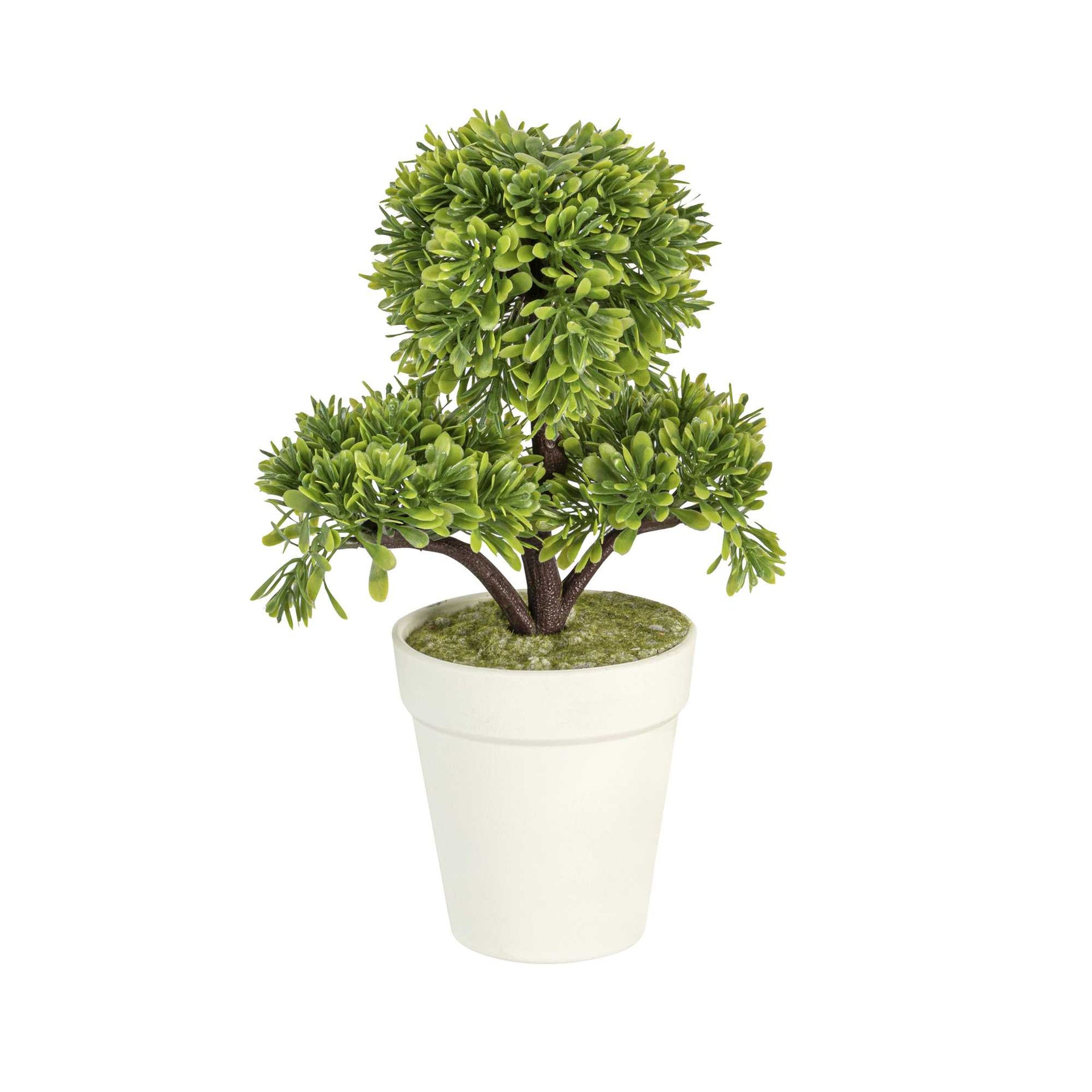 Fiore Green Plastic Petite Green Tree in Plastic Pot - 7" x 4" x 11" - 1 count box