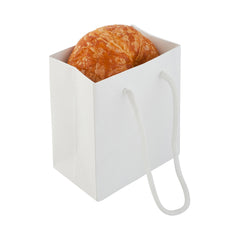 Rectangle White Paper Extra Small Shopping and Take Out Bag - Glossy, Rope Handles - 5