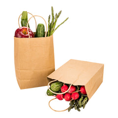 Saving Nature Kraft Paper Medium Retail Bag - with Handles - 10