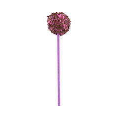Purple Paper Cake Pop and Lollipop Stick - Biodegradable - 6