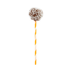 Orange Paper Cake Pop and Lollipop Stick - Spirals, Biodegradable - 6