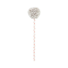 Red Paper Cake Pop and Lollipop Stick - Polka Dots, Biodegradable - 6
