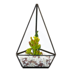 Plastic Table Art Faux Succulent Arrangement - Triangular Glass Terrarium, Black - 8 1/2