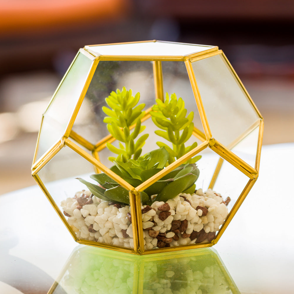 gold succulent terrarium Plastic Table Art Faux Succulent Arrangement - Pentagon Glass Terrarium, Gold - 6 3/4" x 6 1/4" x 6 1/4"