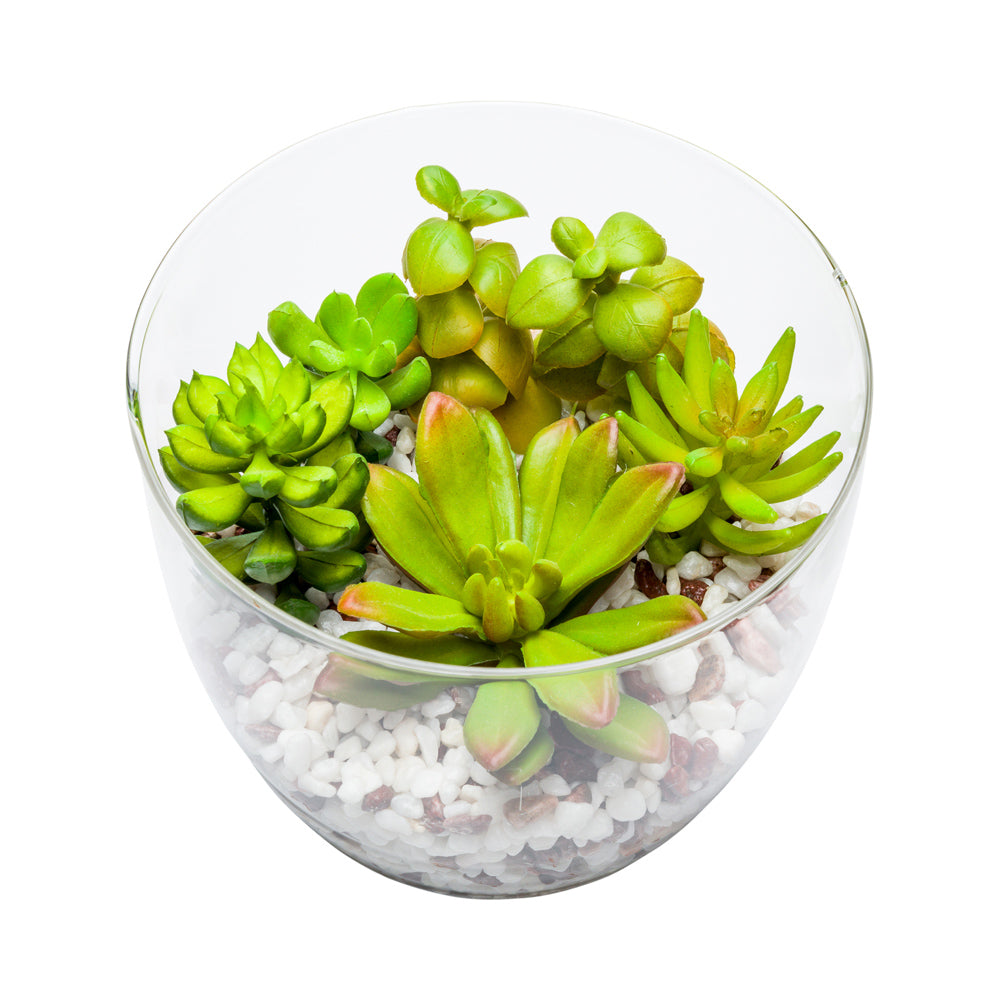 artificial succulents in glass containers Plastic Table Art Faux Succulent Arrangement - Glass Terrarium Vase - 5 1/2" x 5 1/2" x 5"