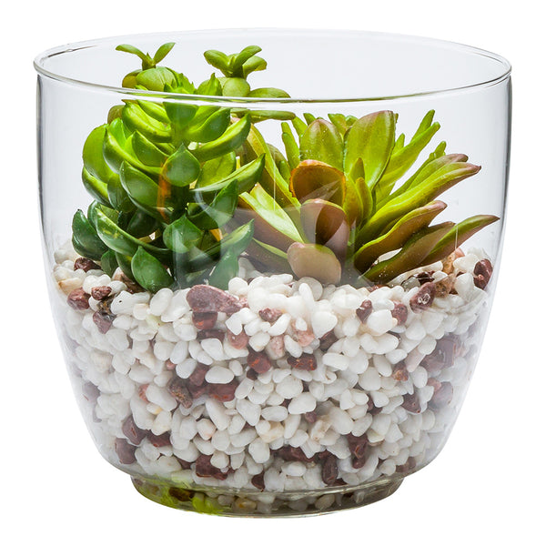 fake succulent plants Plastic Table Art Faux Succulent Arrangement - Glass Terrarium Vase - 5  1/2