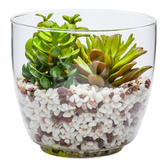 Plastic Table Art Faux Succulent Arrangement - Glass Terrarium Vase - 5 1/2