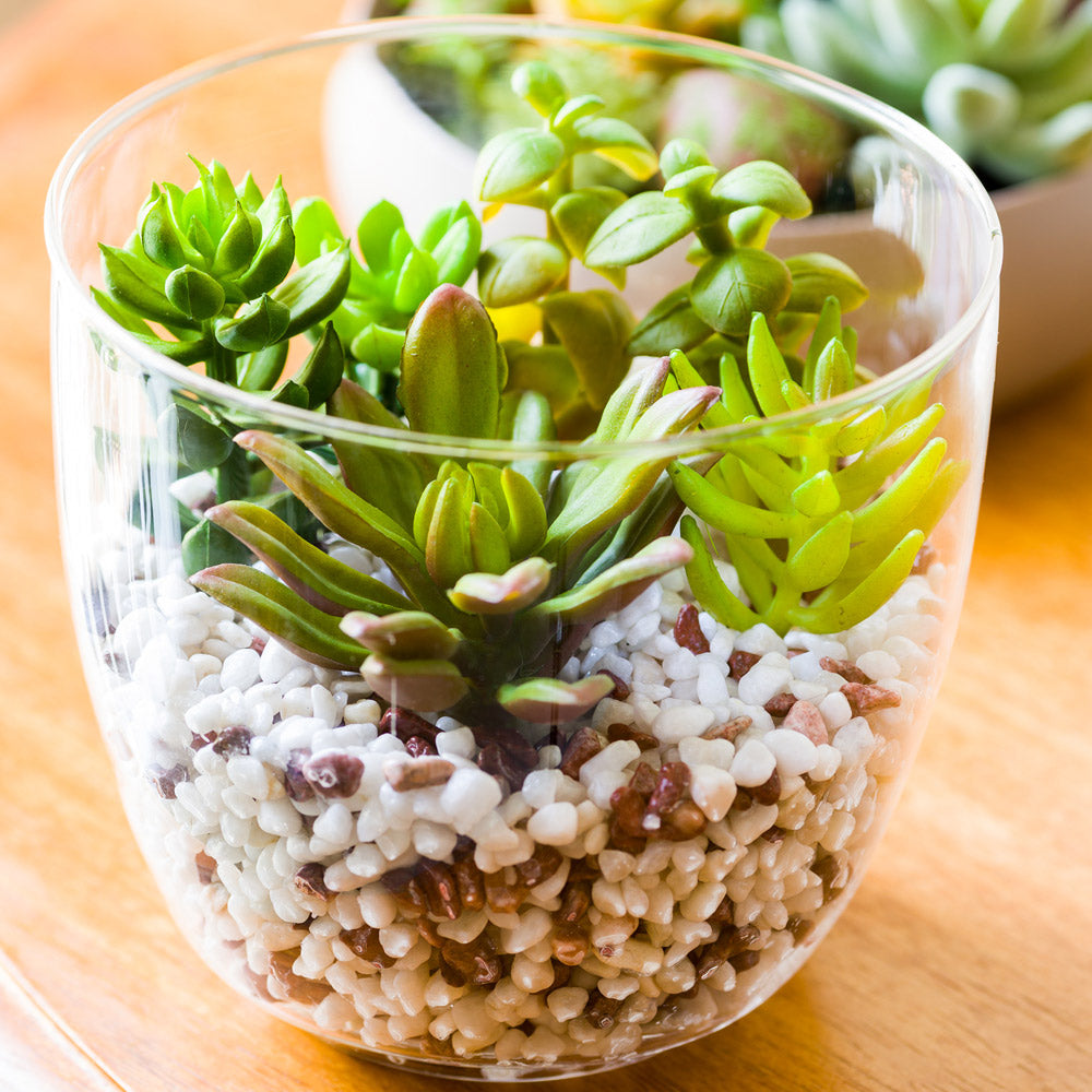 succulents in clear vases Plastic Table Art Faux Succulent Arrangement - Glass Terrarium Vase - 5 1/2" x 5 1/2" x 5"