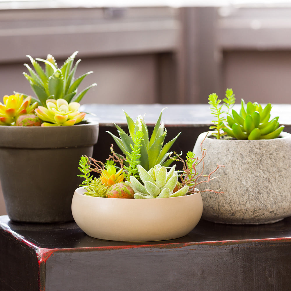 clear succulent pots Plastic Table Art Faux Succulent Arrangement - Helio Porcelain Planter, Taupe - 6" x 6" x 5 1/4"