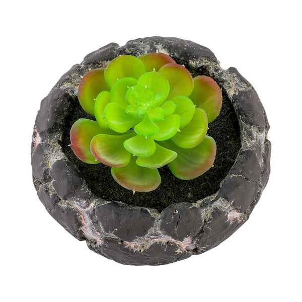 artificial succulent decor Restaurantware-6 x 4.5 Inch Faux Succulent, 1 Artificial Succulent