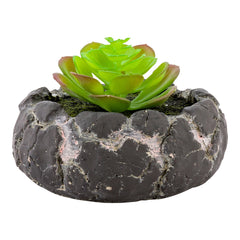 Plastic Table Art Faux Succulent Arrangement - Faux Volcanic Rock, Cement Planter - 6
