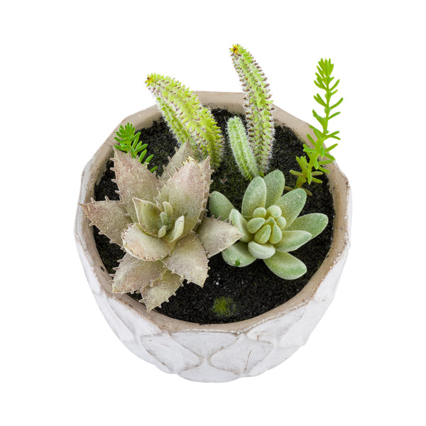 faux succulent table centerpiece Restaurantware-5.9 x 7.9 Inch Faux Succulent Arrangement, 1 Artificial Succulent