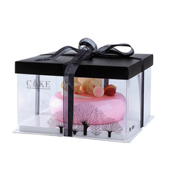 Sweet Vision Square Clear Plastic Cake Box - Black Lid and White Base, Black Ribbon, Tree Accent - 10