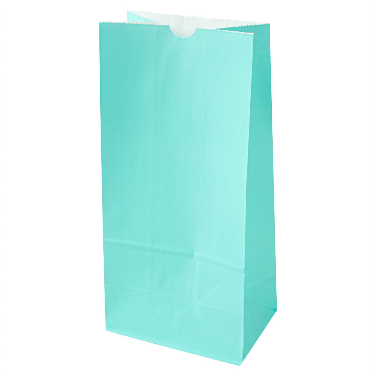 Bag Tek Turquoise Paper Bag - 8 lb - 6" x 4" x 11 3/4" - 1000 count box