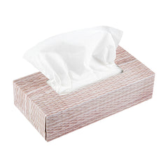 Clean Tek Professional 100 Sheet Facial Tissue Box - 2-Ply - 1 count box